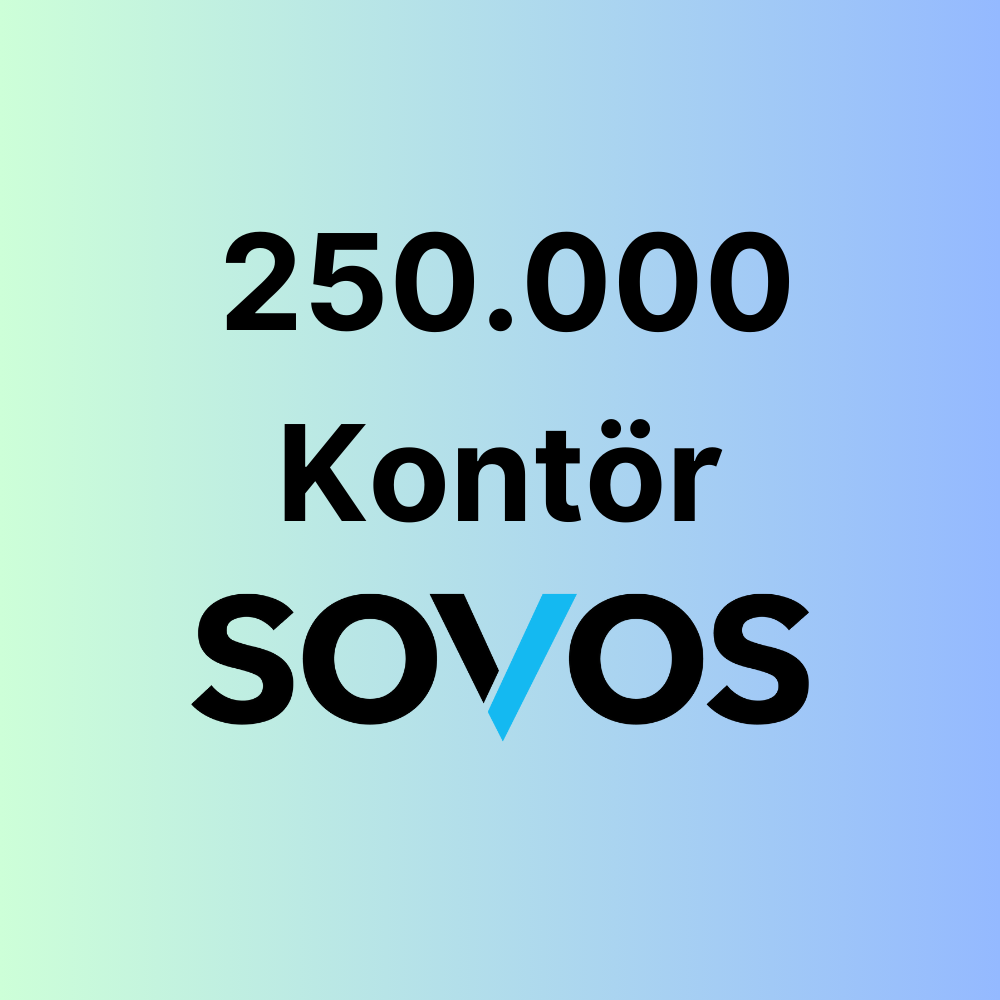 250.000 Adet Sovos e-Fatura Kontör Paketi